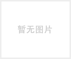 OLM0402B变压器局部放电监测单元